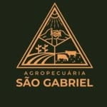 GRUPO SÃO GABRIEL